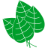 directoalpaladar.cl Logo